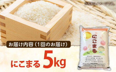【12回定期便】 長崎県産 精米 にこまる 5kg 総計 60kg [SDR004] 米