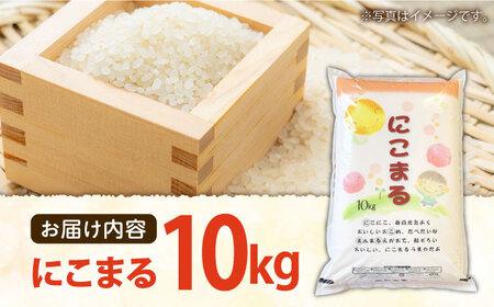 にこまる10kg / 米 お米 精米 白米 / 大松屋商店 [SDR005]