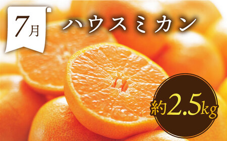 【6回定期便 奇数月コース】フルーツ 定期便 [SDZ021]