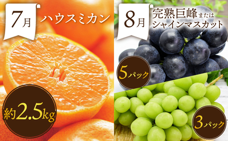 【12回定期便】フルーツ定期便 [SDZ023] 