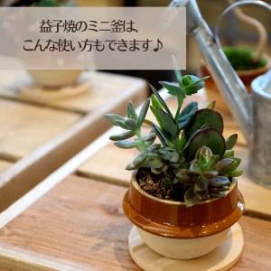 道の駅ましこ とろたまブリュレ6個 益子焼ミニ釜セット 益子町 AA011