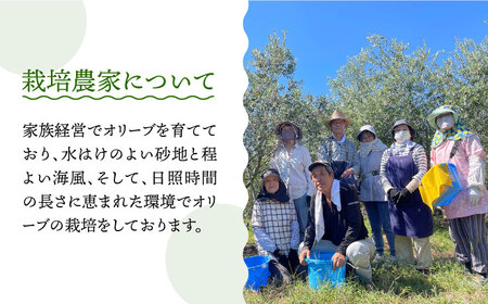 【6回 定期便 】原城オリーブ エクストラヴァージン オイル 100ml 2本 / 調味料 油 オリーブオイル オリーブ / 南島原市 / ミナサポ [SCW028]
