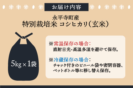 【玄米】 令和7年度産 永平寺町産 農薬不使用・化学肥料不使用 特別栽培米 コシヒカリ 5kg  ５キロ 5kg 米  米 お米 コメ 送料無料 こしひかり 福井　B-033056