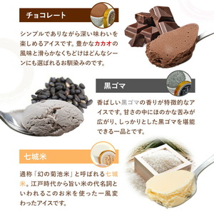 七城農家の正直アイス 8個セット 各1個 8種類 有限会社砦農園《90日以内に出荷予定(土日祝除く)》熊本県 菊池市 いちご アールスメロン マンゴー 紅いも バニラ チョコレート 黒ごま 七城米 アイスクリーム アイス 食べ比べ スイーツ デザート