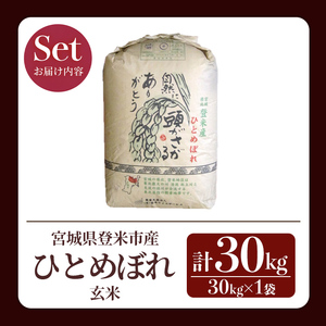 ≪令和7年産≫ ひとめぼれ 玄米 30kg 登米市産 お米 おこめ 米 コメ ご飯 ごはん おにぎり お弁当 【登米ライスサービス株式会社】tm142