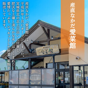 ≪登米市産りんご100%使用≫ りんごジュース 2本セット (1000ml×2本) りんご リンゴ 林檎 ジュース リンゴジュース 飲み物 飲料 フルーツ 果物 水分補給 ドリンク 【協同組合産直なかだ愛菜館】tm221