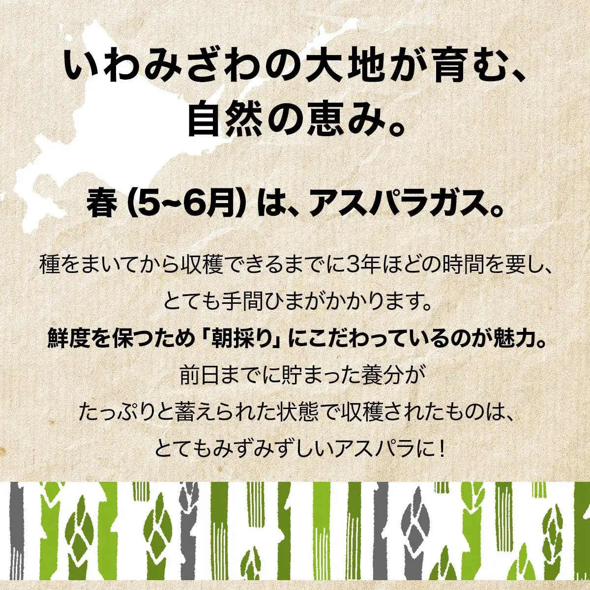 ＜先行予約＞いわみざわの新鮮農産物セット(5or6月～11月 全6回)※定期便【11106】