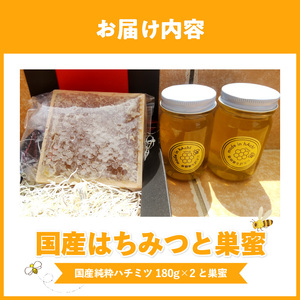国産はちみつと巣蜜_国産はちみつ 180g × 2個 計 360g 巣蜜 セット 瓶 はちみつ 国産 純粋はちみつ 天然のはちみつ 栄養 豊富 低カロリー トースト ホットケーキ ヨーグルト シリアル パン クラッカー にたばる養蜂場 食品 常温 おすすめ お取り寄せ 福岡県 久留米市 送料無料 〔Ca028〕