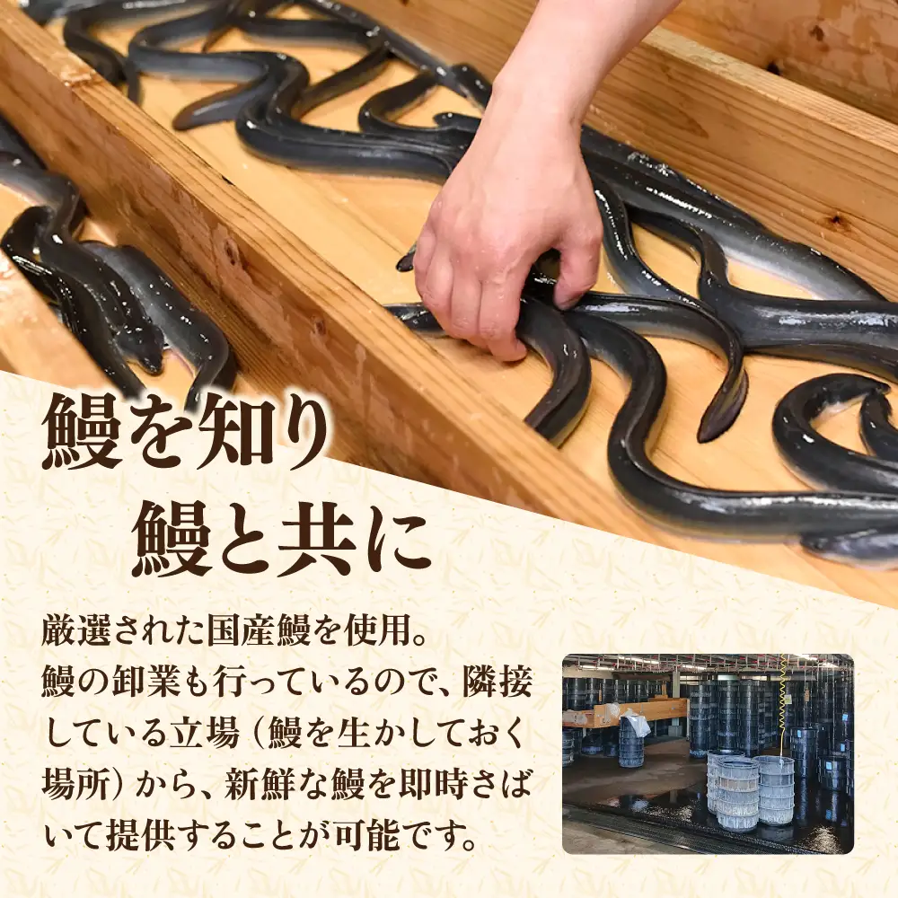 【お中元対象】うなむす 8個 糸島市 / 北ノ屋うなぎ [ACL007] うなぎ おにぎり 冷凍