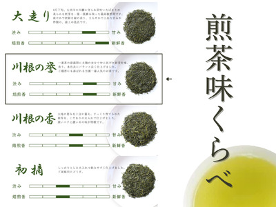 13-7 特上煎茶　川根茶「川根の誉」ティーバッグセット3袋