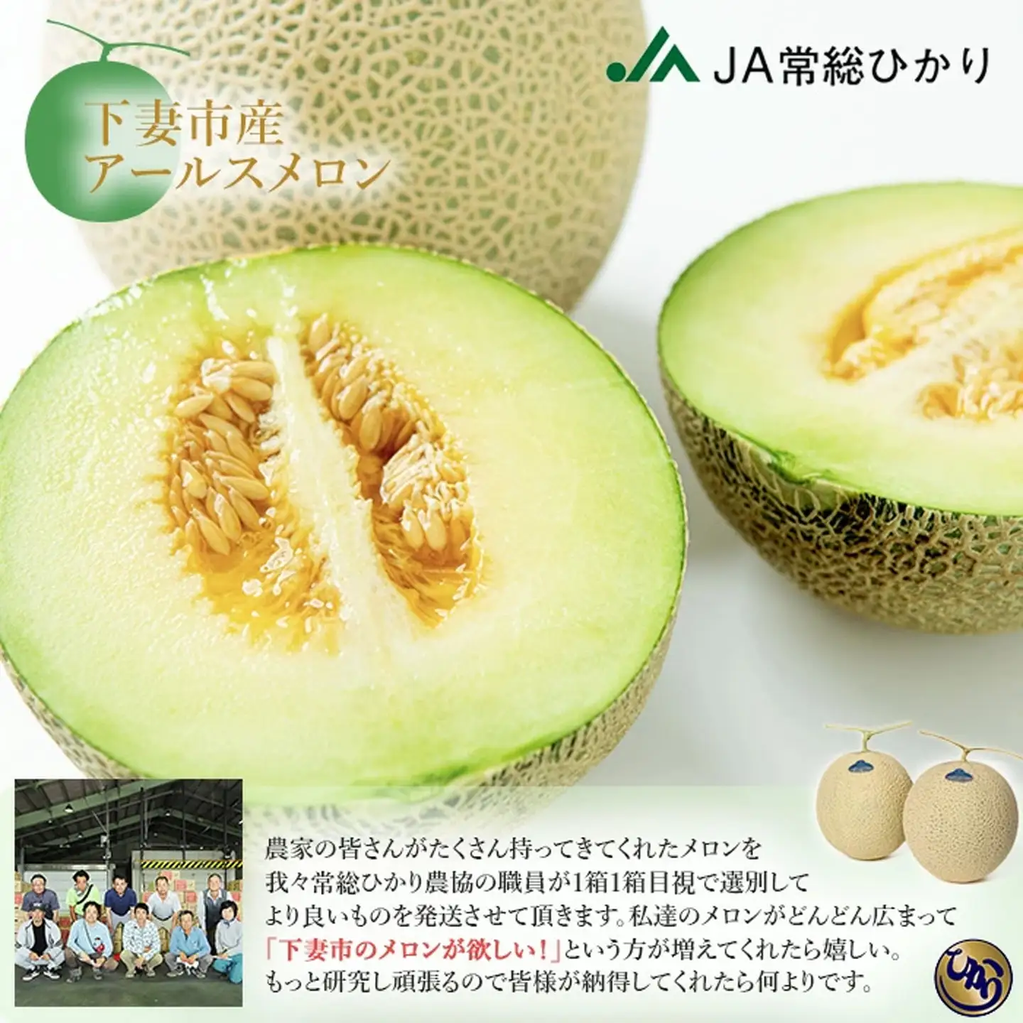 メロン 茨城県産 R8年産 アールスメロン 約7.5kg 3～6個