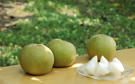 先行予約 梨 幸水 5kg（10〜14玉）　 梨
