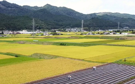 【漬物 種類指定可】たまり漬け・茨城県産 手作り味噌(700g 2個)・ 地場産の野菜使用 里美のたまり漬け(180g 3個 / 胡瓜たまり 辛入り胡瓜たまり 福里漬 大根たまり 楽京たまり ごまちゃん) | 味噌 みそ