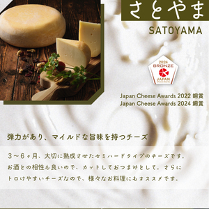 【全商品受賞】ナチュラルチーズ4種セット｜チーズ ナチュラル