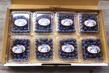 【数量限定】朝採り生ブルーベリー 800g（100g×8） 9-H 【6月中旬～7月以降発送予定】