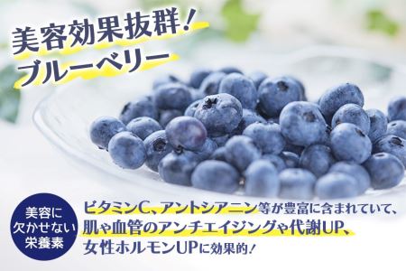 【数量限定】冷凍ブルーベリー 1kg 【6月下旬から順次発送予定】 9-I