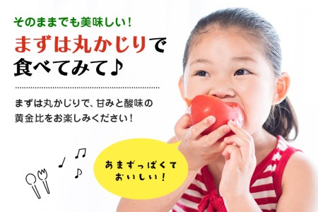 【数量限定 先行予約】＜2027年1月出荷開始予定＞ 爆音トマトと呼ばれるフルーツトマト「百里百」 2kg 甘い 酸味 肉厚 大玉 産地直送 とまと 健康 リコピン 百里基地 戦闘機 国産 茨城県 小美玉市 直売所 水耕栽培 野菜 やさい 一人暮らし 13-E