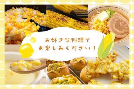 【数量限定 / 夏季限定】 朝穫りとうもろこし 約5kg トウモロコシ 朝どれ 朝採れ 朝採り 17-N 【7月上旬～8月中旬発送予定】