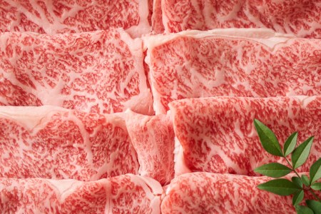 訳あり 博多和牛 A4以上 しゃぶしゃぶ すき焼き スライス 250g & 切り落とし 500g 計750g【部位おまかせ】/ MEAT PLUS / 福岡県 筑紫野市 [21760211]