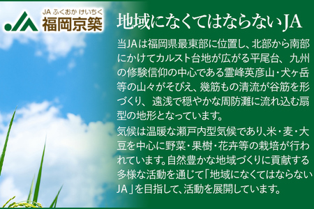 令和7年産 夢つくし 勝山米 種類を選べる ＜特別栽培 勝山米5kg＞ 福岡県産 特別栽培米