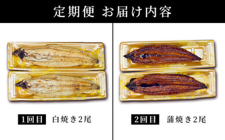 うなぎ 蒲焼き 白焼き 食べ比べセット 計800g (各200g×2尾×2回) 
