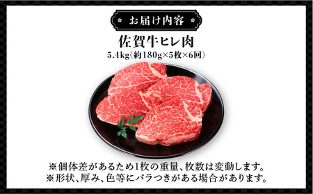 ヒレステーキ定期便 計5.4kg (180g程度×5枚×6回)