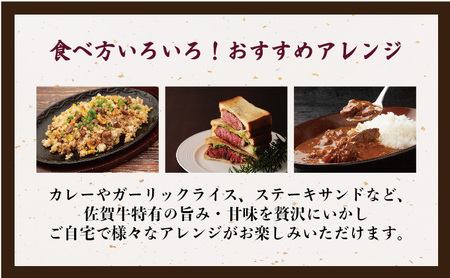 佐賀牛サーロインステーキ 500g (250g×2枚)