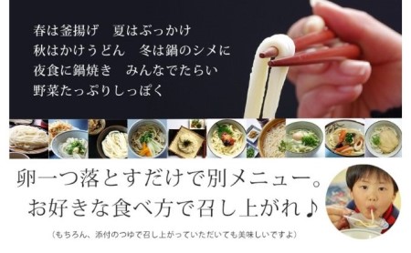 讃岐うどん ゆで麺 20人前 出汁付き うどん