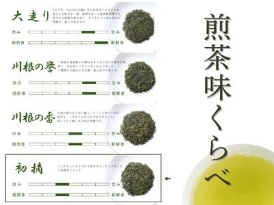 11-51 上煎茶　川根茶「初摘」セット 200ｇ×3袋
