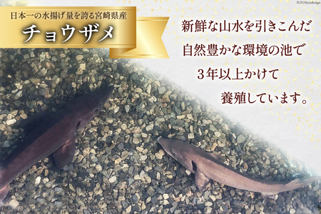 美郷 キャビア チョウザメ 50g [宮崎キャビア 宮崎県 美郷町 31az0014]