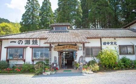 田中窯元 急須 把手あり  【2026年3月下旬より順次発送予定】取手あり 焼き物 陶器 きゅうす 茶器 お祝い プレゼント 福岡県 うきは市