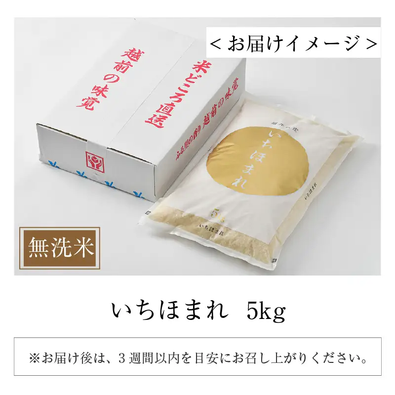 【令和7年産】いちほまれ 無洗米 5kg×1袋 ／ 福井県産 ブランド米 ご飯 白米 新鮮 [aw064-a024]