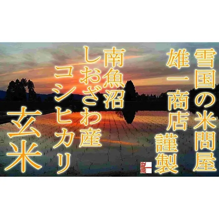【令和7年産】●玄米● 【定期便8Kg×3ヶ月】  生産者限定 南魚沼しおざわ産コシヒカリ【定期便 銘柄米 ブランド米 玄米 こしひかり コシヒカリ 魚沼産 新潟米 産地直送 お米 米 こめ コメ ご飯 御飯 ごはん】