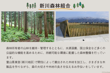 絵本棚 完成品 スリム 表紙が見える [新川森林組合 富山県 朝日町 34310300]