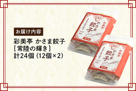 彩美亭 かさま 餃子 常陸の輝き12個入り 2セット HV-002