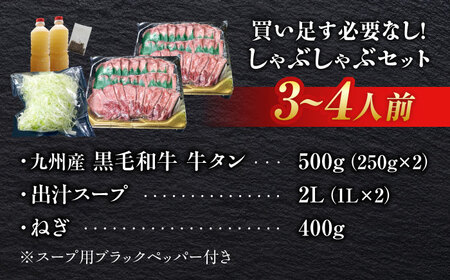 九州産 黒毛和牛 牛タンしゃぶしゃぶセット 500g 牛たん[FCJ071]