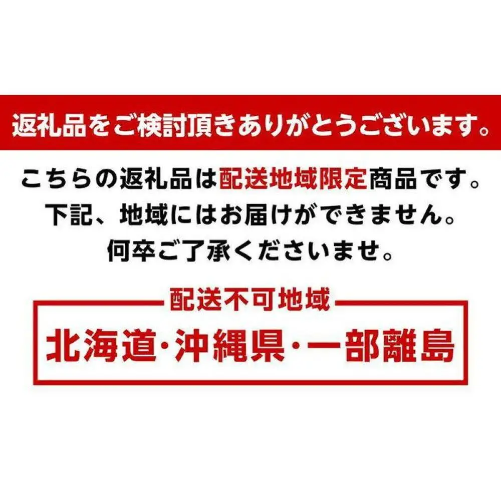 訳あり 清見オレンジ 混合 10Kg【令和9年3月から発送】清見オレンジ 