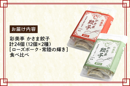 彩美亭 かさま 餃子 常陸の輝き・ローズポークセット HV-004
