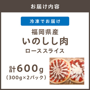 福岡県産いのしし肉ロース スライス 600g（300g×2パック）【観光創造DMOむなかた】_HA1050