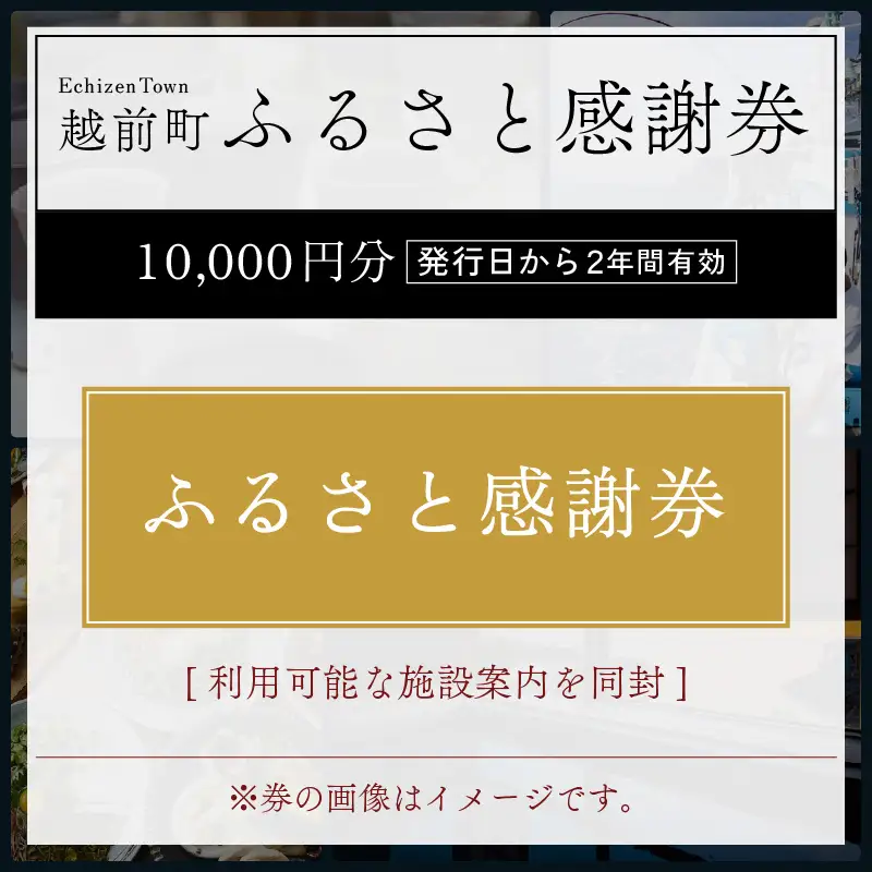 越前町ふるさと感謝券（10,000円分）【宿泊 レジャー アウトドア BBQ 体験型 宿泊券 福井県】 [e05-c001]