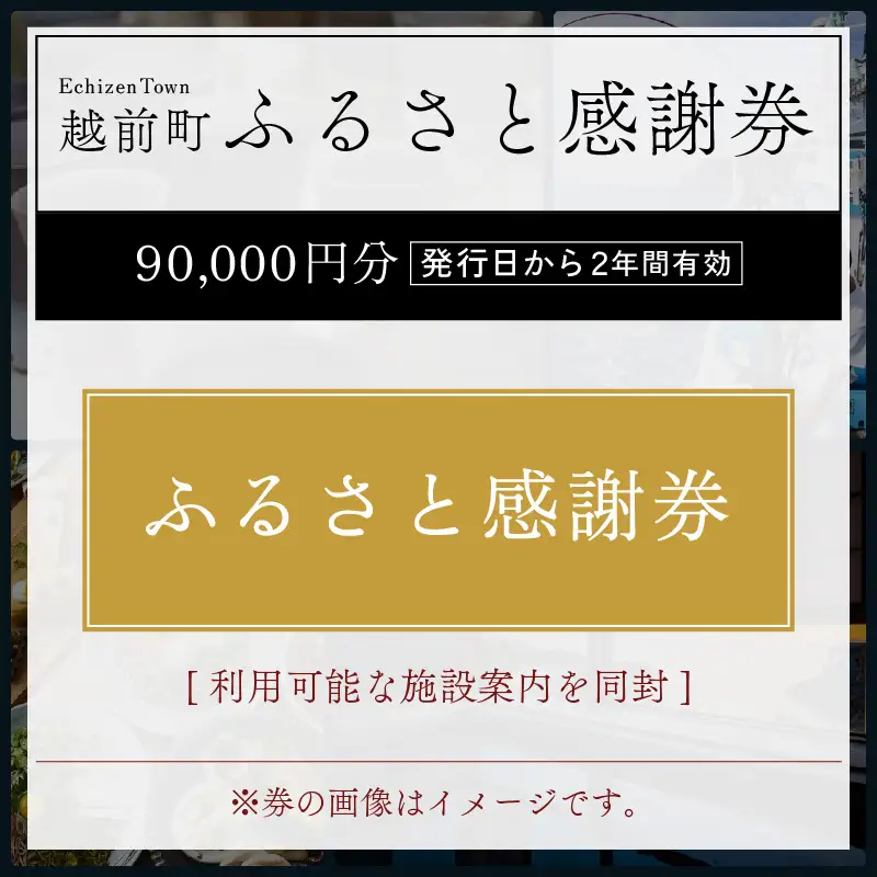 越前町ふるさと感謝券（90,000円分）【宿泊 レジャー アウトドア BBQ 体験型 宿泊券 福井県】 [e05-p001]