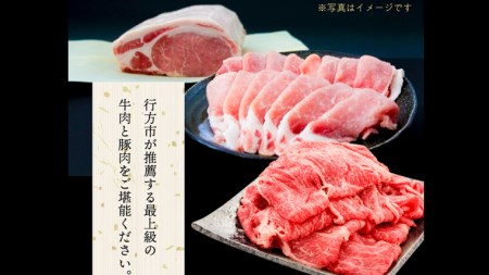 【茨城県共通返礼品／行方市】 美明豚 × 常陸牛 スライス 約1kgセットC （美明豚バラ約800g 常陸牛ロース約200g 計約1,000g） 豚肉 牛肉 豚 牛 ひたち牛 SPF ブランド牛 ブランド豚 詰め合わせ 食べ比べ セット 贈答用 国産 黒毛和牛 最高級 バラ ロース スライス しゃぶしゃぶ [CF011ya]