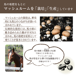 岩手県産 八幡平マッシュルーム1kg 色はおまかせ ／ マッシュルーム きのこ 茸 キノコ 料理 なま 生食 サラダ パスタ バーベキュー BBQ おつまみ つまみ 焼く 揚げる 調理 料理 スープ ソース 自宅用 和食 洋食 おすすめ オススメ 【ジオファーム】