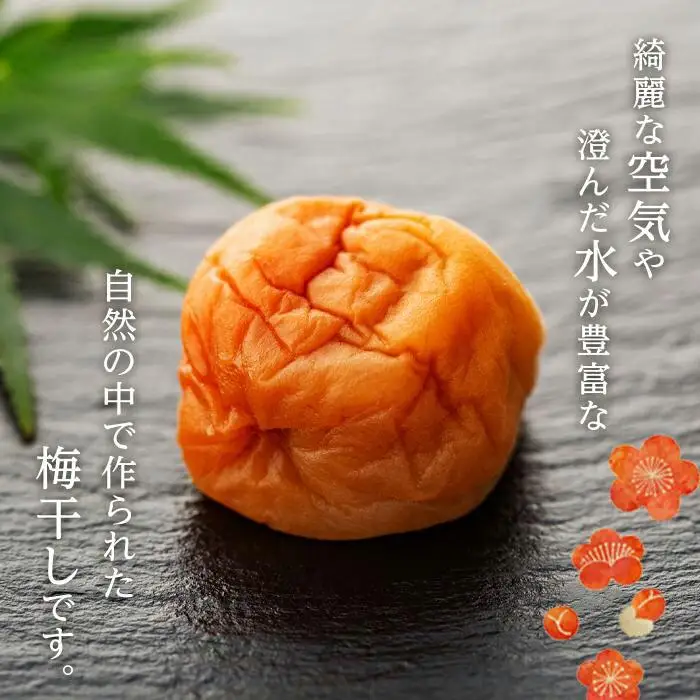 完熟南高梅使用　はちみつ熊野梅干 800g　超フルーティ（塩分8％）