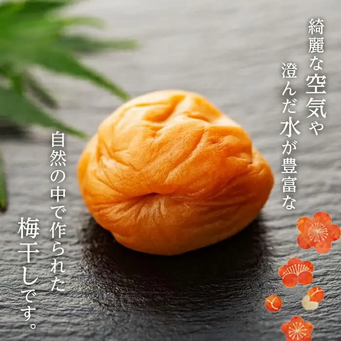 完熟南高梅使用　くずれ梅　うす塩熊野梅干1kg　まろやか仕立て（塩分10％）【訳あり】
