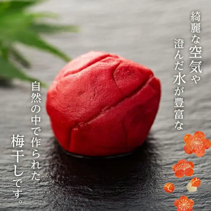 完熟南高梅使用　くずれ梅　しそ熊野梅干　1kg　まろやか仕立て（塩分10％）【訳あり】