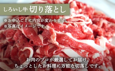 【6回定期便】ロールステーキ4個＆手ごねハンバーグ4個＆切り落とし1kg / ステーキ ハンバーグ [IAH186]