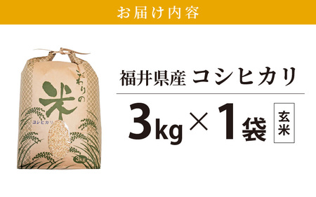 令和7年産 コシヒカリ 3kg 福井県産【玄米】【お米 こしひかり 3キロ 人気品種】 [e30-a094]