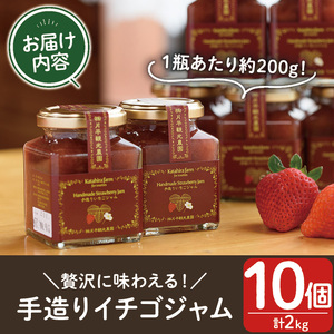 No.008 手造りイチゴジャム(約200g×10本) 国産 九州産 鹿児島県産 いちご イチゴ 苺 ジャム フルーツ 果物 手作り 手造り 調味料 小分け 贈答 プレゼント 保存料無添加 着色料無添加【片平観光農園】