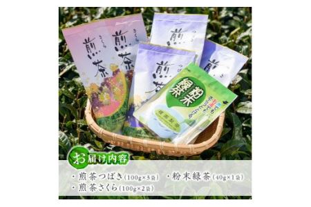No.014 煎茶セット(雅)【世献 榎園製茶】